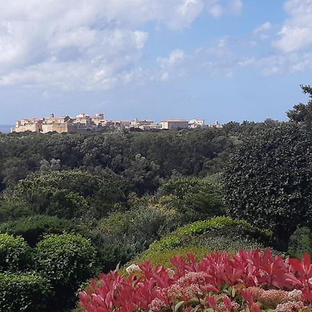 Apartamento Chez Xavier Monacia-d'Aullene Exterior foto